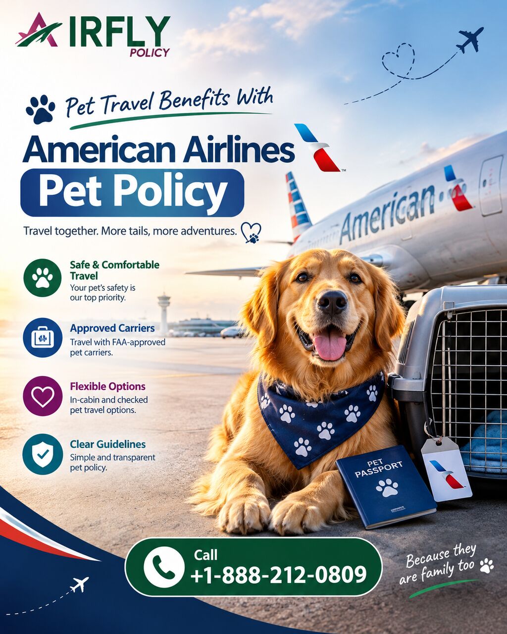 New York, Travel, Pet Travel Benefits With American Airlines Pet Policy