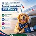 Pet Travel Benefits With American Airlines Pet Policy
