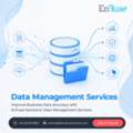 Improve Business Data Accuracy With EnFuse Solutions&rsquo; Data Management Services