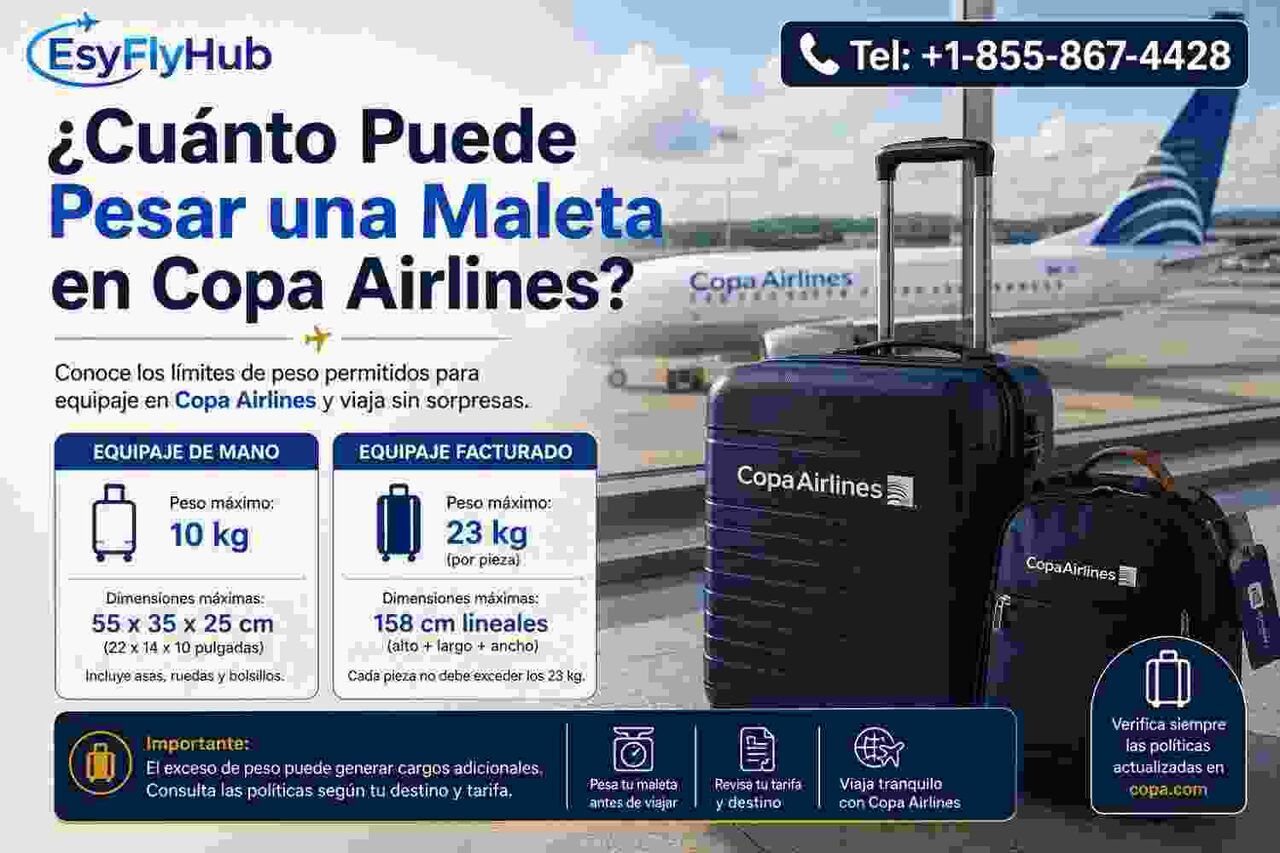 New York, Travel, ¿Cuánto Cuesta Una Maleta Adicional En Copa Airlines?