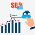 Seo Company In Canada