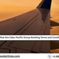 What Are Cebu Pacific Group Booking Terms And Conditions?