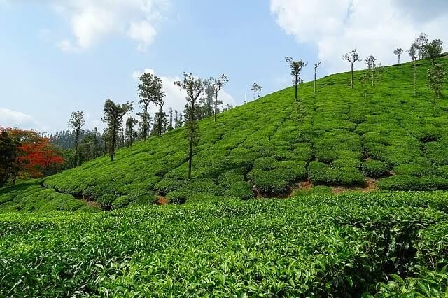 New Delhi, Travel, Best Places To Visit In Kerala &ndash; Explore Kerala&rsquo;s Top Destinations
