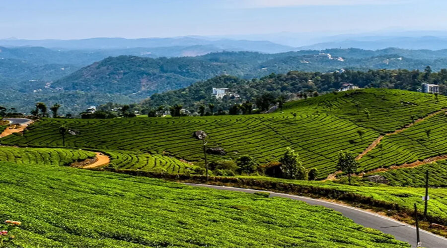New Delhi, Travel, Best Places To Visit In Kerala &ndash; Explore Kerala&rsquo;s Top Destinations