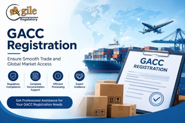 Noida, Legal, GACC Application Support For International Food Trade