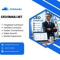 CEO Email List