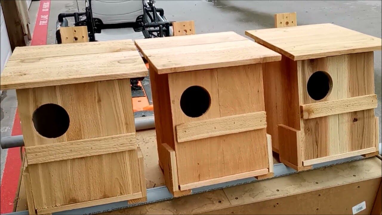 New York, Pest Control, Professional Farm Services Built Around Owl Box Installation