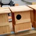Professional Farm Services Built Around Owl Box Installation