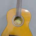 SAR 250,  Suzuki Guitar