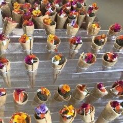 New York, Business, Luxury Catering Services For Elegant Events And Special Occasions