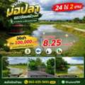 THB 100000,  9800 Sq. Feet,  ให้เช่า บ่อปลา แถววัดมณีวงศ์ ต.ดงละ