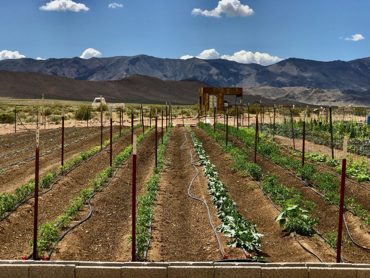 San Francisco, Real Estate For Sale, USD 1500000,  3 BR,  3365 Sq. Feet,  10-Acre Luxury Off-Grid Compound & Agribusiness Estate (Tecopa, CA)