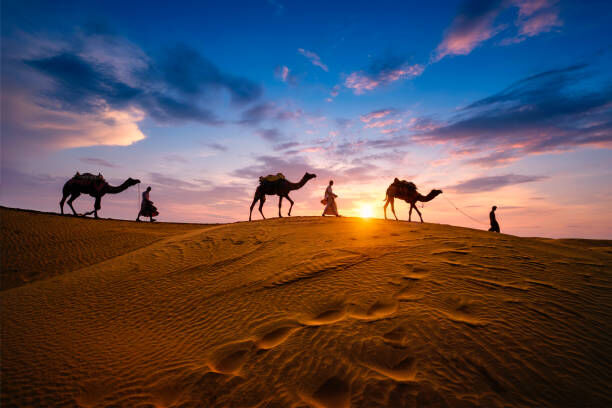 Ghaziabad, Travel, Highlights Of Rajasthan&nbsp;9 Nights