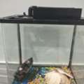 SAR 60,  Fish Aquirium For Sale With Decoration. Only Box Without Roof Top And Pump