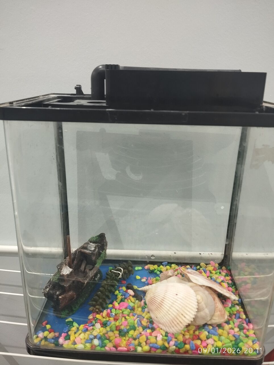 Al Nahda, Pet Supplies, SAR 60,  Fish Aquirium For Sale With Decoration. Only Box Without Roof Top And Pump
