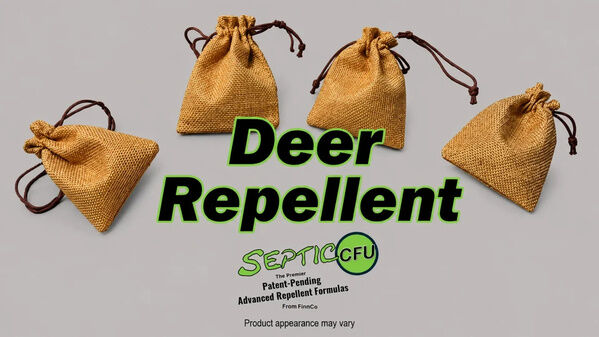 New York, Business, Best Deer Repellent For Plants: What To Look For &ndash; FinnCo
