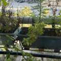 BHD 8, Plant Pot With Metal Support For Hanging