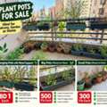 BHD 6,  Plant Pots For Sale &ndash; Hanging & Floor Pots From 300 Fils