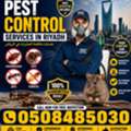 Pest Control  Services In Riyadh 20 Year Experience