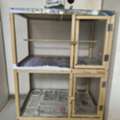 BHD 6,  Cage Selling For Bird Used Items