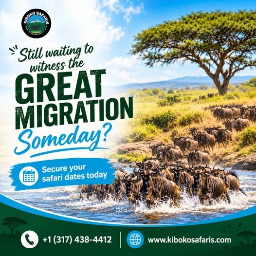 Doha, Travel, Discover An Unforgettable African Adventure