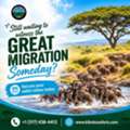 Discover An Unforgettable African Adventure