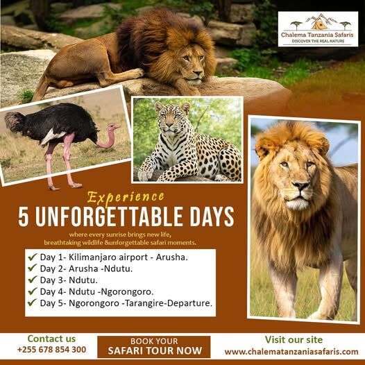Dar es Salaam, Travel, Discover The Beauty Of Tanzania&rsquo;s Great Outdoors