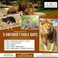 Discover The Beauty Of Tanzania&rsquo;s Great Outdoors