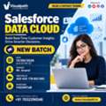 Salesforce Data Cloud Online Training | New Batch Open!