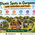 Best Day Outing Near Delhi For Family, Friends & Groups