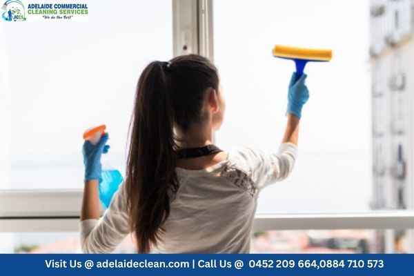 Sydney, Cleaning, Professional Window Cleaners Adelaide &ndash; Brilliant Results