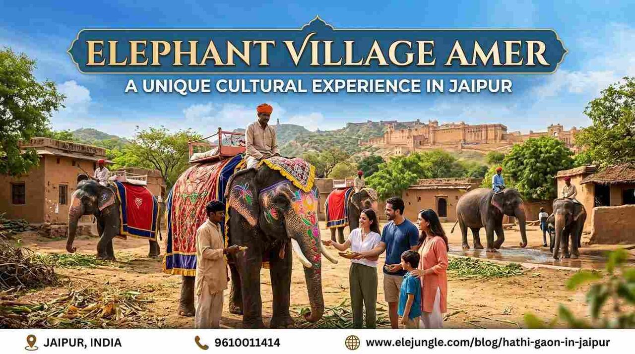 Jaipur, Travel, Elephant Village Amer: Get To Know The Gentle Giants Of Jaipur