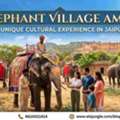 Elephant Village Amer: Get To Know The Gentle Giants Of Jaipur