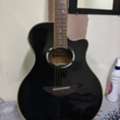 SAR 1,  YAMAHA APX500iii