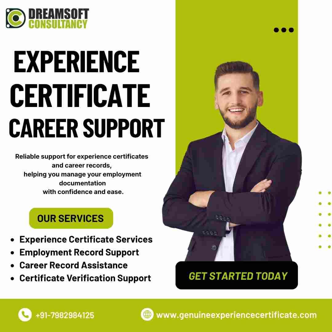 Punjab, Business, Punjab Experience Certificate Provider For Career Records