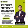 Punjab Experience Certificate Provider For Career Records