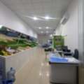 Fruit & Vegetable Shop For Sale In Al Khobar للبيع محل خضار وفواكه جاهز بالكامل 