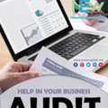 Audit Help In Your Business