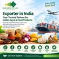 Indian Exporters: Building Strong Global Supply Chains From India