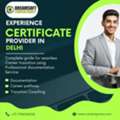 Employment Verification Support In Delhi