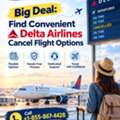 Big Deal: Find Convenient Delta Airlines Cancel Flight Options
