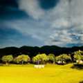 Refreshing Escape To Jim Corbett At Resorts By The Baagh