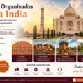 Viaje Organizado India: Del Triángulo Dorado A Los Palacios De Rajastán