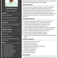 I Hereby Declare That The Information Provided In This CV Is True And Accurate To The Best