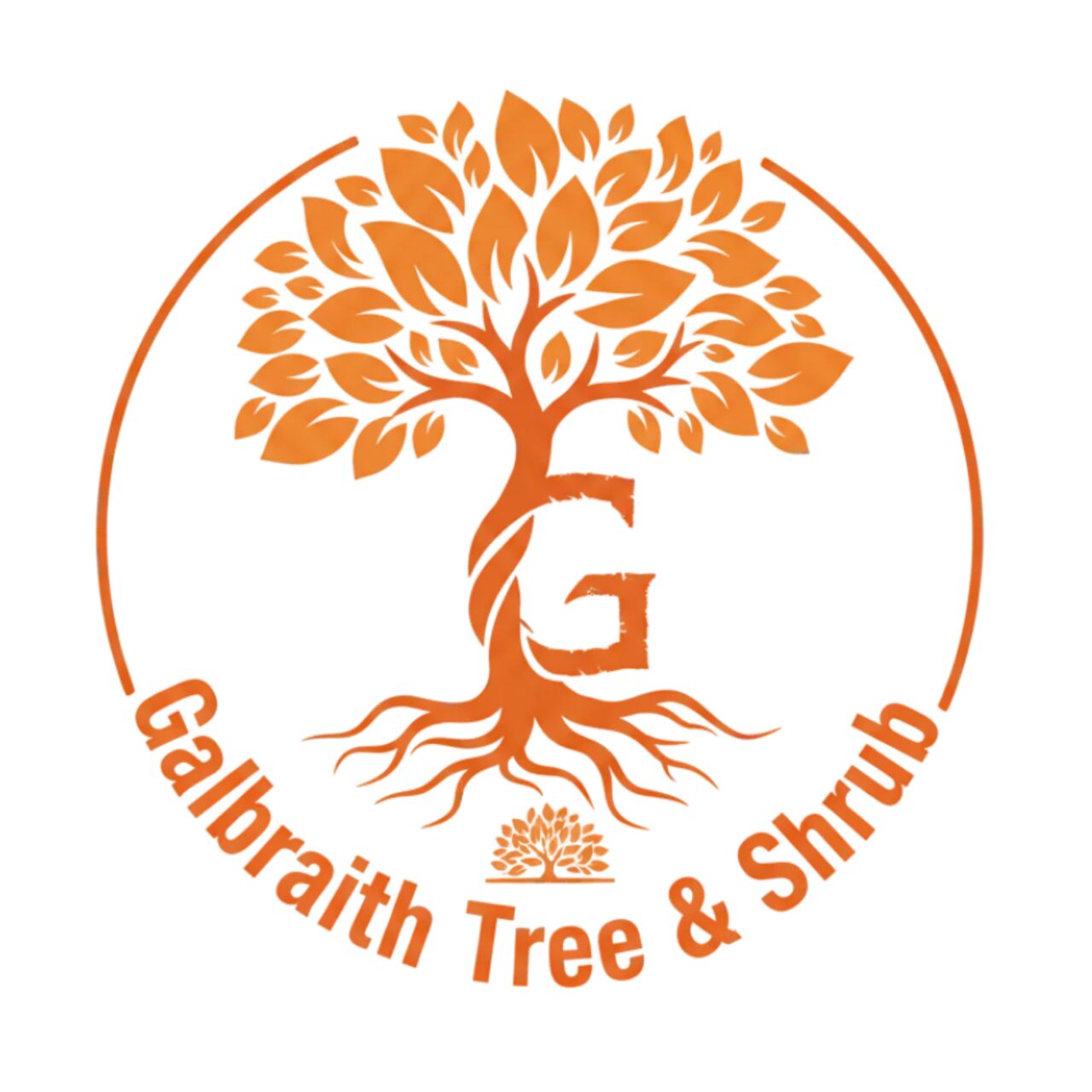 New York, Business, Trusted Tree Removal Company For Complete Property Tree Care
