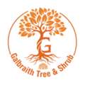 Trusted Tree Removal Company For Complete Property Tree Care