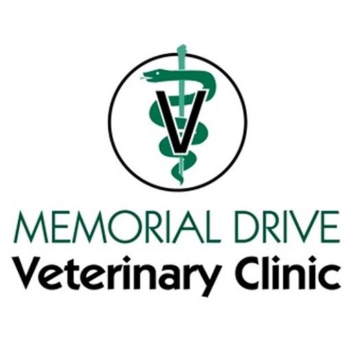 New York, Health, Memorial Drive Veterinary Clinic