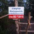 THB 250000,  6 BR,  14400 Sq. Feet,  ทรัพย์น่าซื้อบอกต่อราคาดีคุยง่า