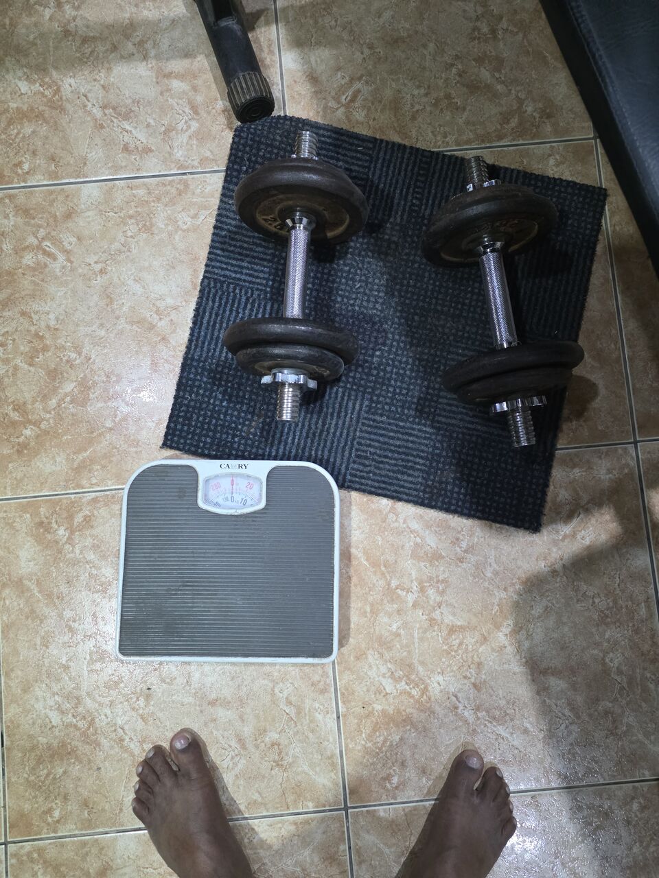 Riyadh, Heavy Equipment, SAR 800,  BENCH PRESS, DUMBELL,  WEIGHT BAR
