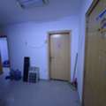 SAR 800/month,  Room Available  In Hara